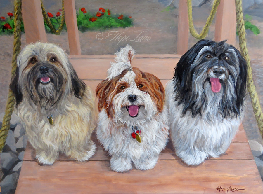 900x665 Final Painting Of Three Havanese - Havanese Painting