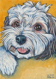 Havanese Painting at PaintingValley.com | Explore collection of ...