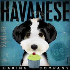 236x236 Havanese Art Digital Download Digital Painting Of A Beautiful - Havanese Painting