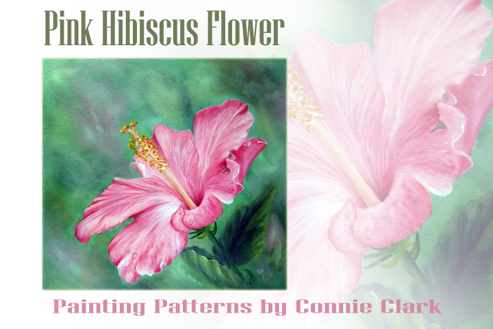 720x480 Hibiscus Flower Acrylic Painting Patterns - Hawaiian Flower Painting