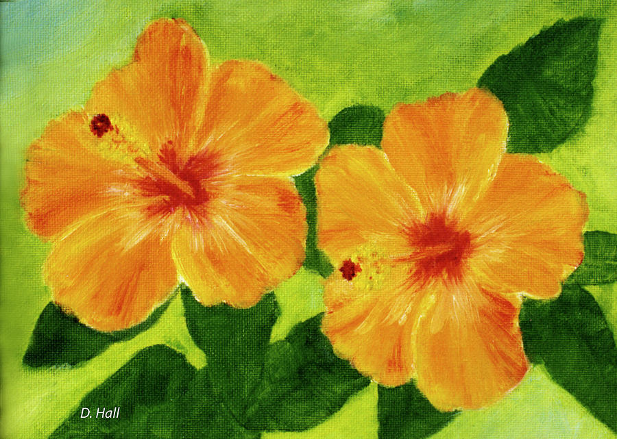 900x641 Golden Hawaii Hibiscus Flower - Hawaiian Flower Painting