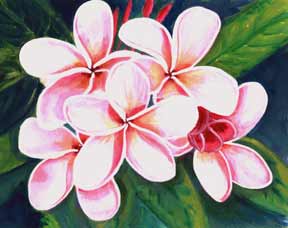 288x228 Hawaii Plumeria Flowers Art Paintings For Sale Hawaiian Plumeria - Hawaiian Flower Painting