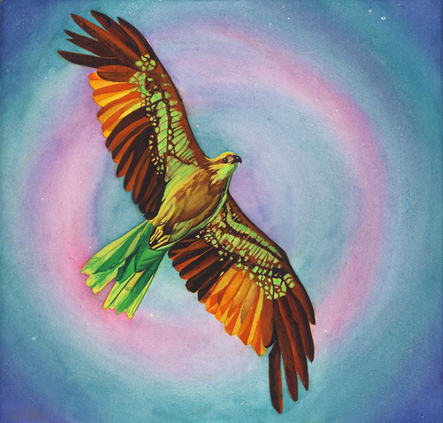 905x864 Olga's Dream Signed Print From Original Watercolor Hawk Painting - Hawk Painting