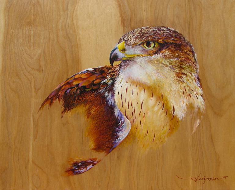 770x622 Saatchi Art Rusty (Ferruginous Hawk) Painting By Christopher Newell - Hawk Painting