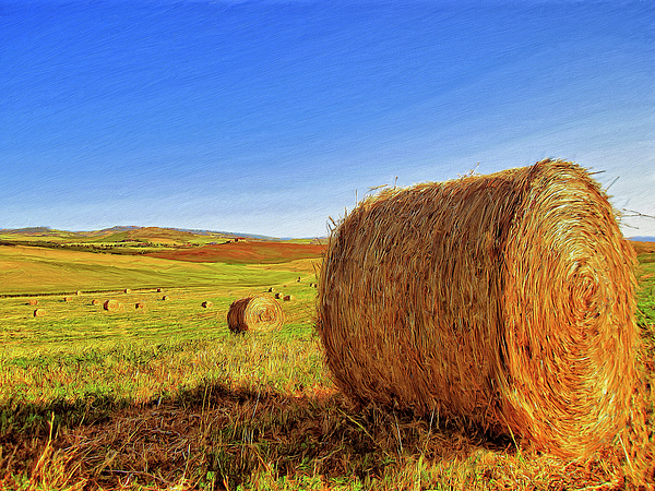 600x450 Hay Bales Painting By Dominic Piperata - Hay Bale Painting