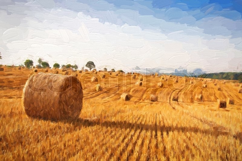 800x533 Oil Painting Summer Landscape - Hay Bale Painting