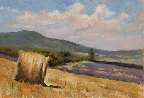 500x341 Daily Paintings Hay Bales And Lavender Fields Postcard - Hay Bale Painting