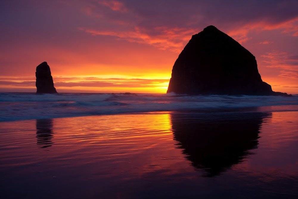 1000x667 Haystack Rock Painting! The Blue Quail - Haystack Rock Painting