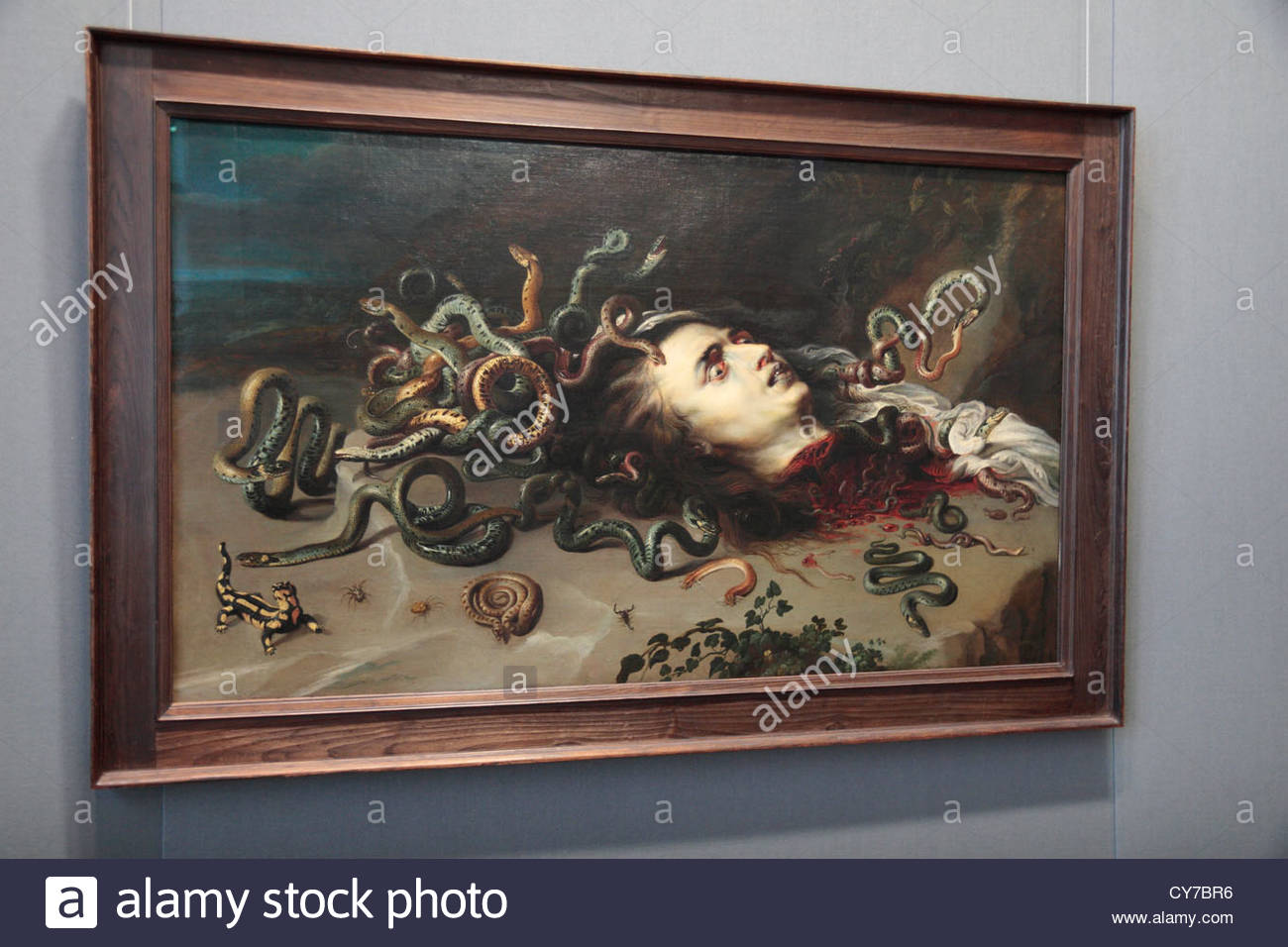 1300x956 Medusa Painting Stock Photos Amp Medusa Painting Stock Images - Head Of Medusa Painting