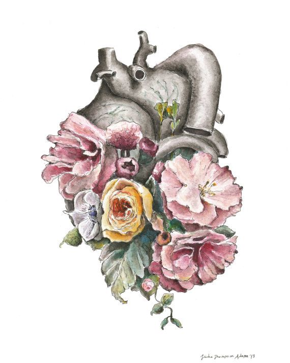 570x713 Floral Anatomy Heart Watercolor Painting 8x10 Framed - Heart Flower Painting
