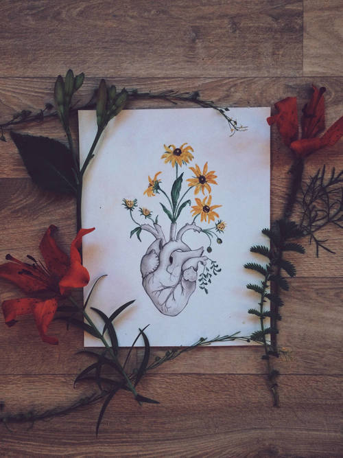 500x667 Heart, Flowers, Anatomy, Art, Painting, Black Eyed Susan, Flower - Heart Flower Painting