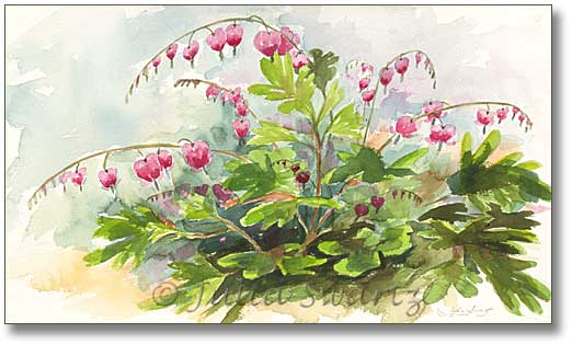 522x314 Julia Swartz Fine Art Gallery Bleeding Hearts - Heart Flower Painting