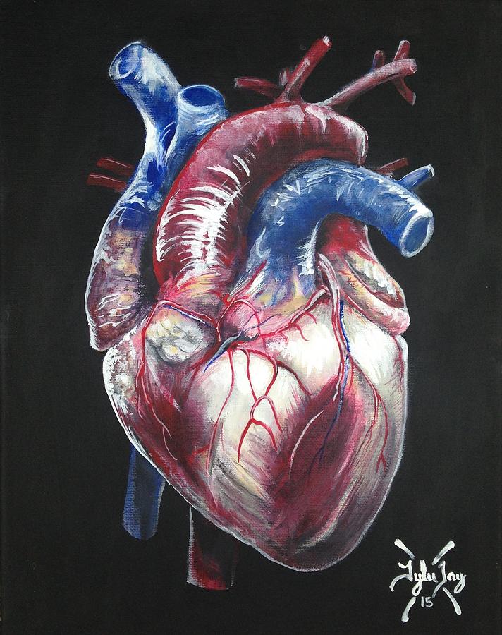 712x900 Anatomical Heart Painting By Tyler Haddox - Heart Painting
