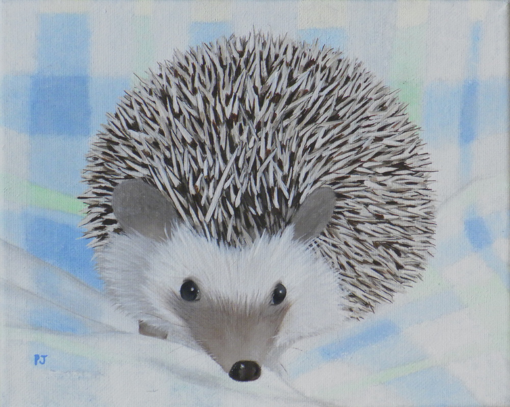 1001x800 Hedgehog Paintings - Hedgehog Painting