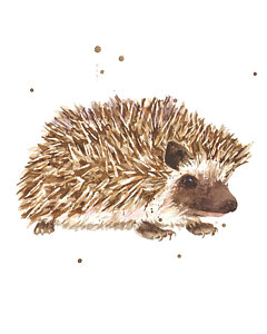 240x300 Prickly Paul Painting By Alison Fennell - Hedgehog Painting