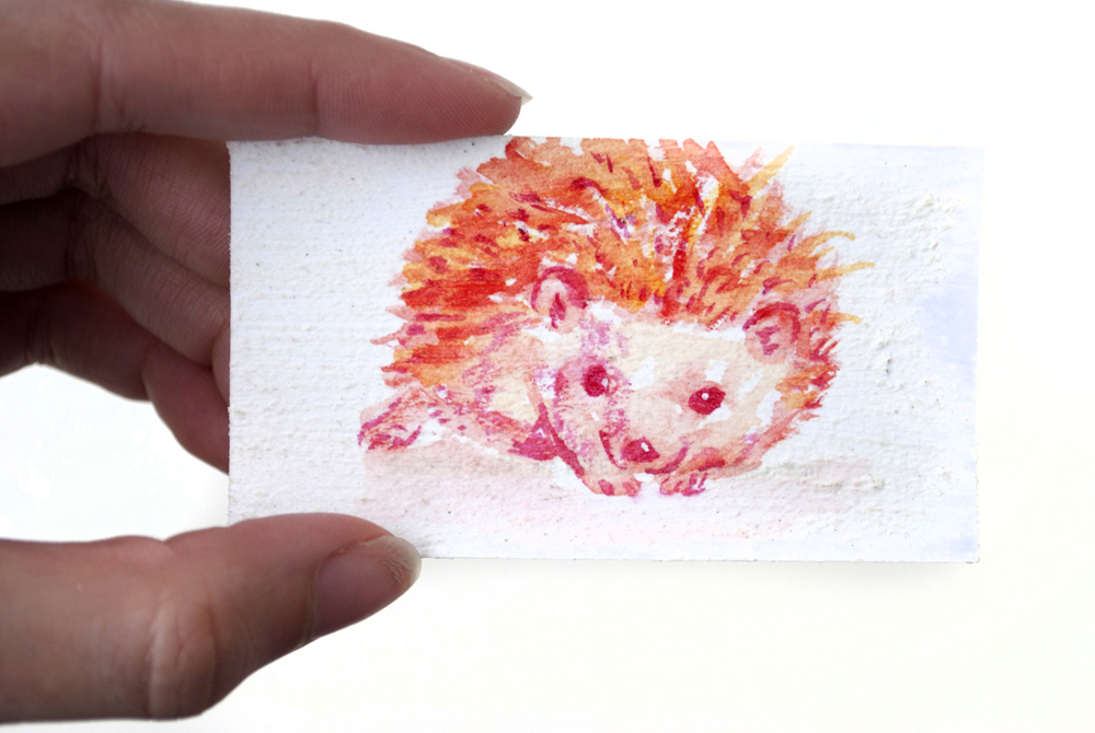 1000x670 Tiny Watercolor Hedgehog Painting By Brandimillerart - Hedgehog Painting