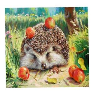 300x300 Diy 5d Diamond Painting Kit Hedgehog Embroidery Cross Crafts - Hedgehog Painting