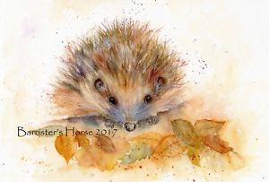 300x203 Hedgehog, Watercolour Fine Artgiclee Print, Wall Art, Painting - Hedgehog Painting