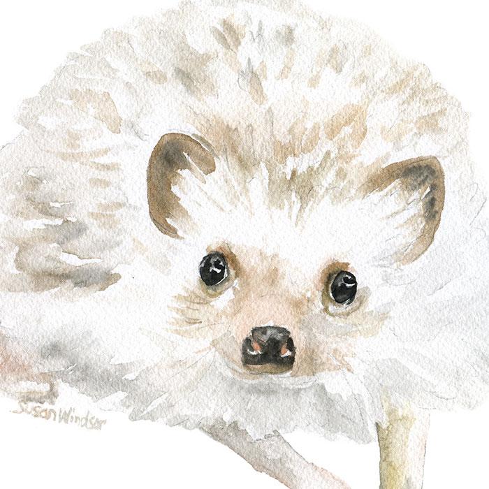 700x700 Hedgehog Original Watercolor Painting Susan Windsor - Hedgehog Painting