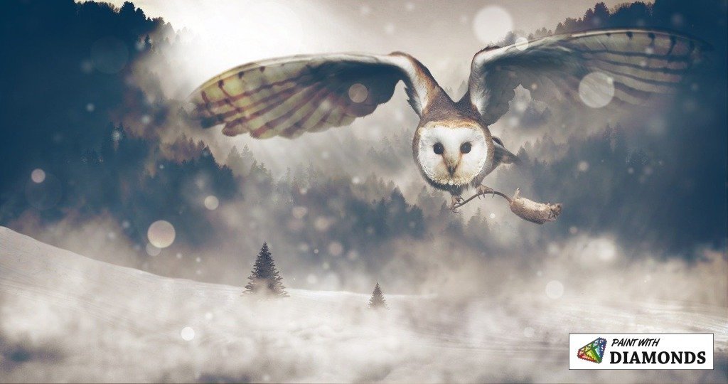 1024x540 Hedwig 100% Full Canvas Square Drill Diamond Paintings For Adults - Hedwig Painting