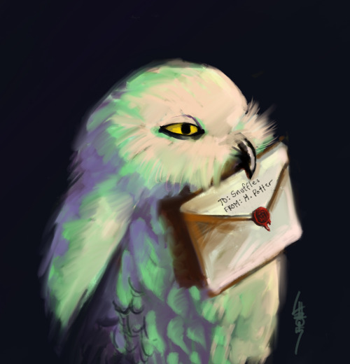 500x520 Hedwig Fan Art Tumblr - Hedwig Painting