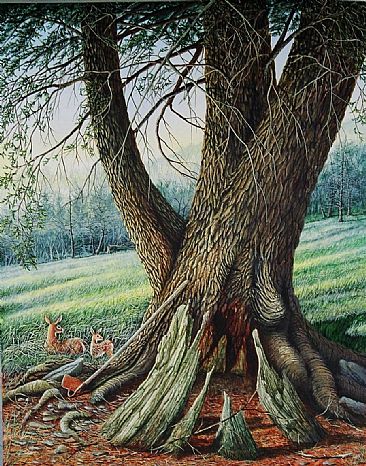 366x466 Regeneration Of Ancient Hemlock - Hemlock Painting