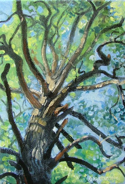 425x627 Hemlock Looking Up (Oil On Canvas 5 X 7 In.) Sold! Karstad - Hemlock Painting