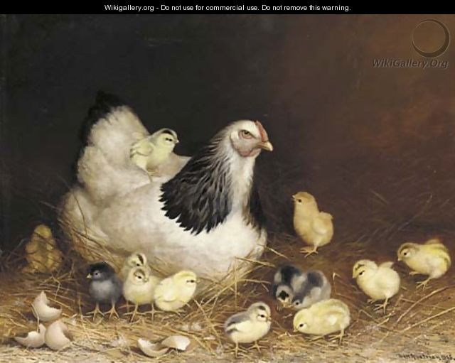 640x511 Hen And Chicks In The Hay - Hen And Chicks Painting