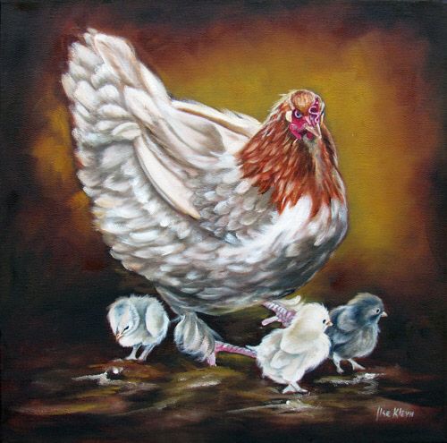500x495 Oil Painting Of Hen With Chicks By Ilse Kleyn. Www.artofkleyn.co - Hen And Chicks Painting