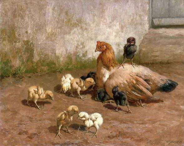590x469 W B Baird A Hen With Her Chicks Canvas Print - Hen And Chicks Painting