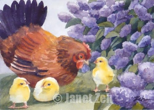 500x358 Zeh Original Art Blog Watercolor And Oil Paintings Hen And Chicks - Hen And Chicks Painting