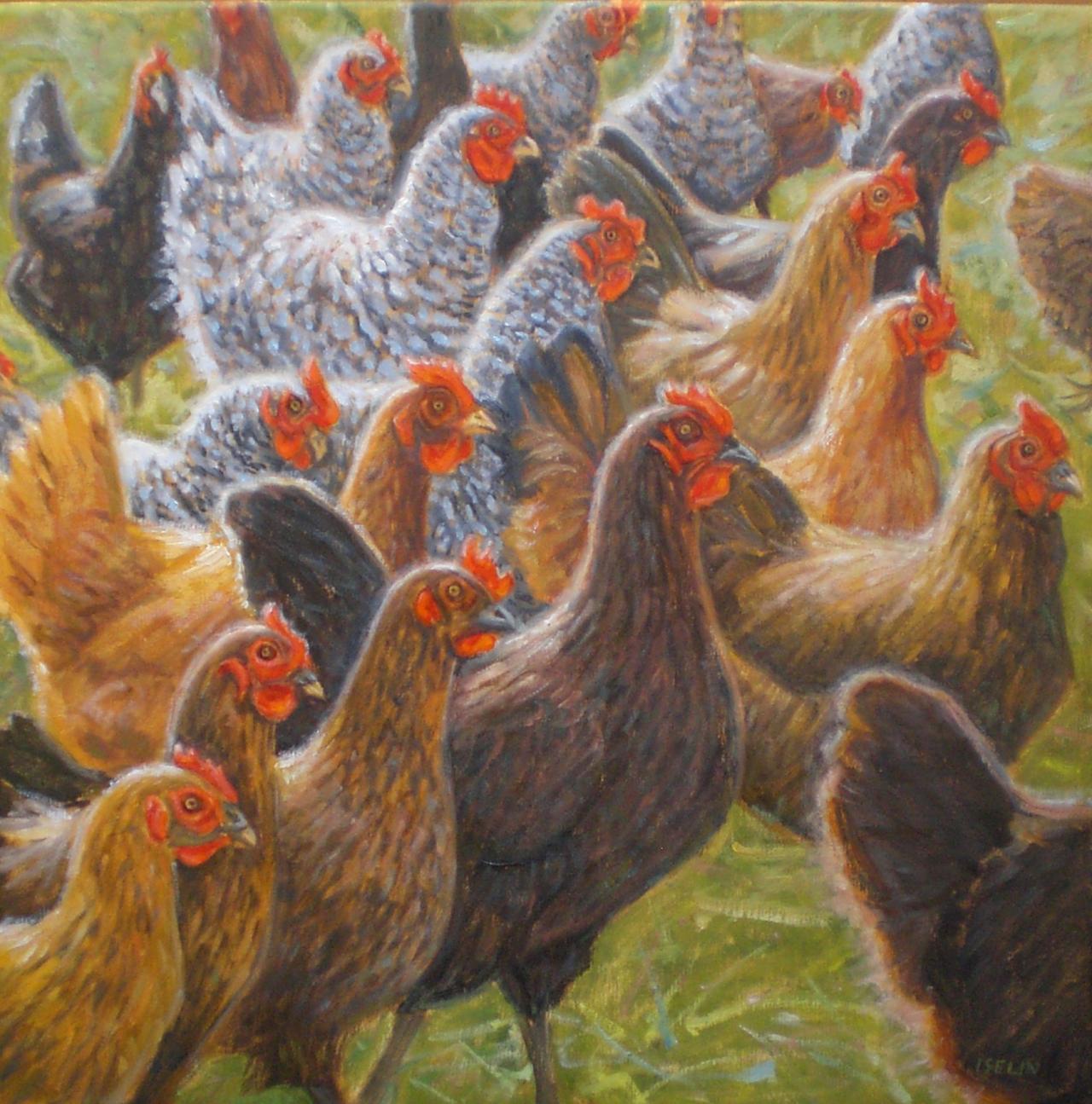 1280x1295 Mary Iselin Fine Art - Hen Painting
