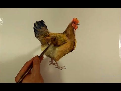 480x360 Watercolor Animals Painting Hen Chicken Paint - Hen Painting