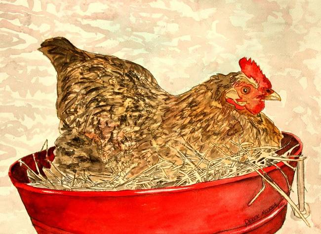 650x475 Hen Chicken Painting By Derek Mccrea - Hen Painting