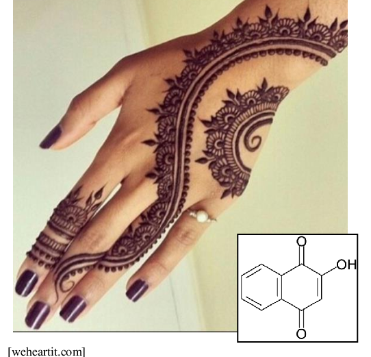 Henna Painting at Explore collection of Henna Painting