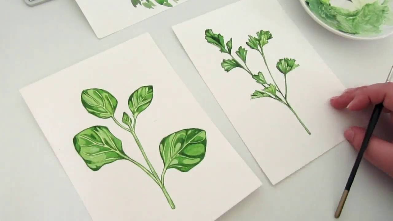 1280x720 Painting Herbs In Watercolour - Herb Painting