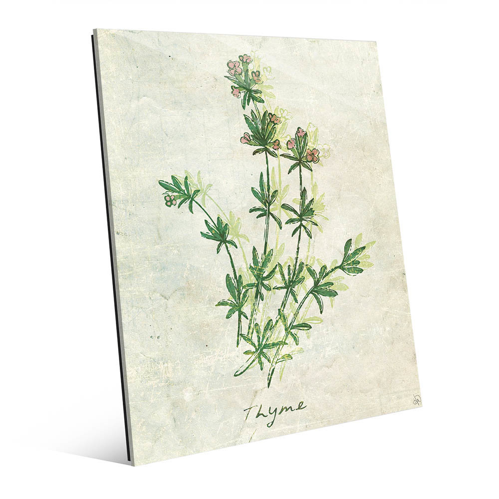 1000x1000 Click Wall Art Glass Herb Thyme Painting Print On Plaque Wayfair - Herb Painting