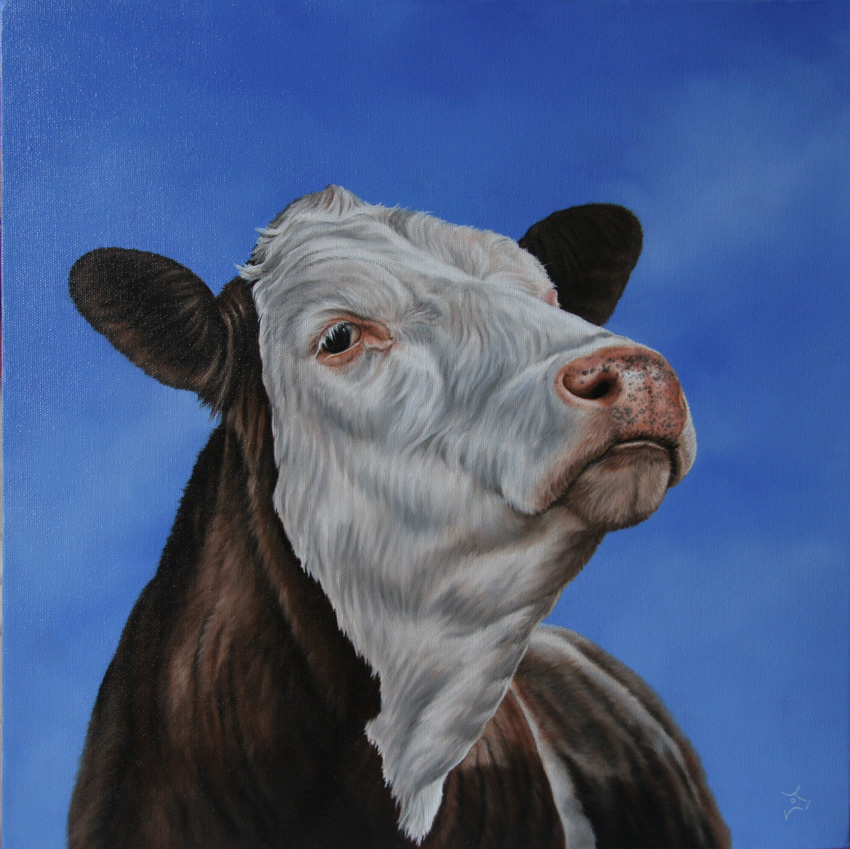 Hereford Cow Painting at PaintingValley.com | Explore collection of ...