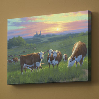 350x350 Hereford Cattle Art Wild Wings - Hereford Cow Painting