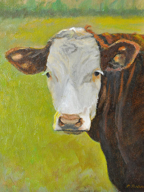 570x758 Hereford Cow Art Hereford Cow Painting Cow Portrait - Hereford Cow Painting