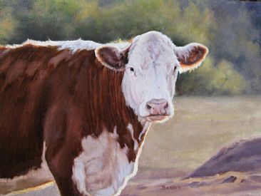 366x275 Hereford Cow - Hereford Cow Painting