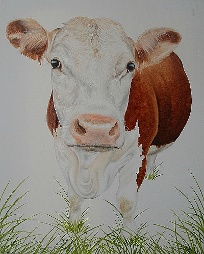 400x497 Smelly Cow Pet Portraits Dorset Uk Artist Paints Dog Cat Oil - Hereford Cow Painting