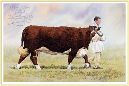 450x302 Hereford - Hereford Cow Painting