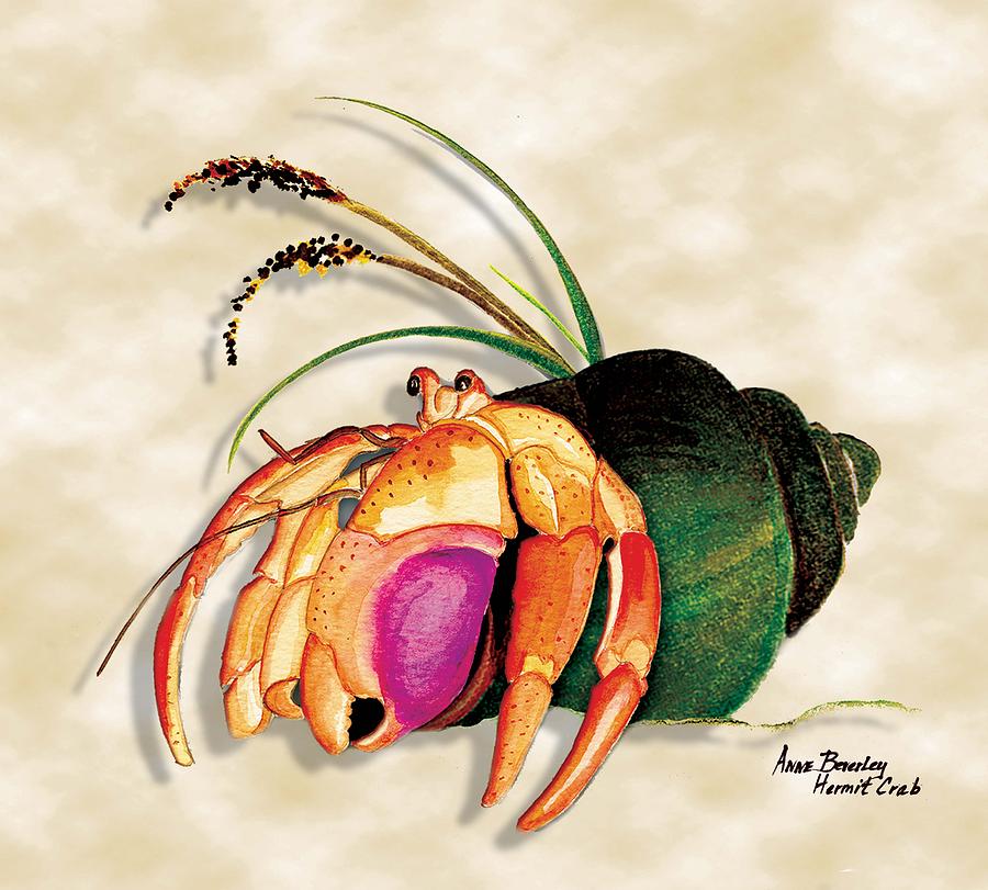 900x811 Hermit Crab In Green Shell Painting By Anne Beverley Stamps - Hermit Crab Painting