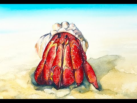 480x360 Hermit Crab Watercolor Painting Tutorial - Hermit Crab Painting