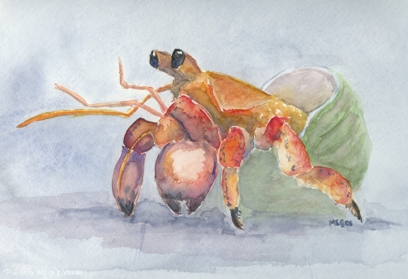 576x394 Hermit Crab By Meglyman - Hermit Crab Painting