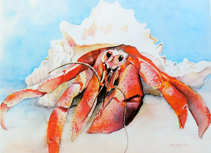 694x504 Animals - Hermit Crab Painting