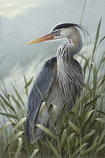 366x548 Great Blue Heron - Heron Painting