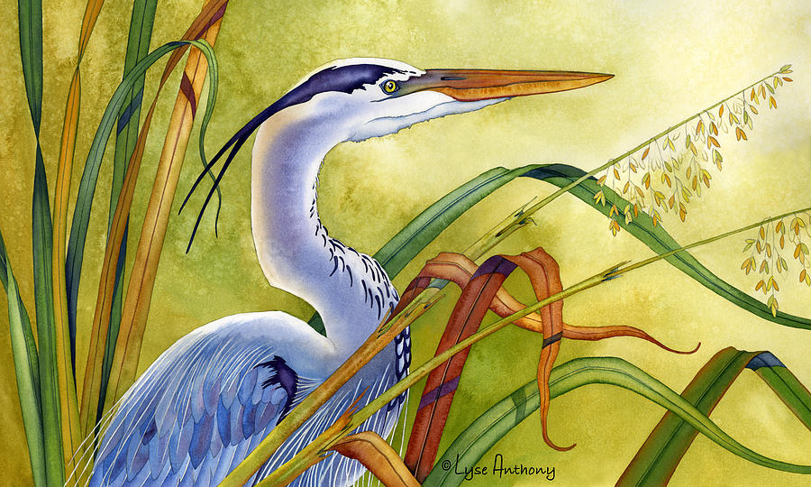 900x540 Great Blue Heron Painting By Lyse Anthony - Heron Painting