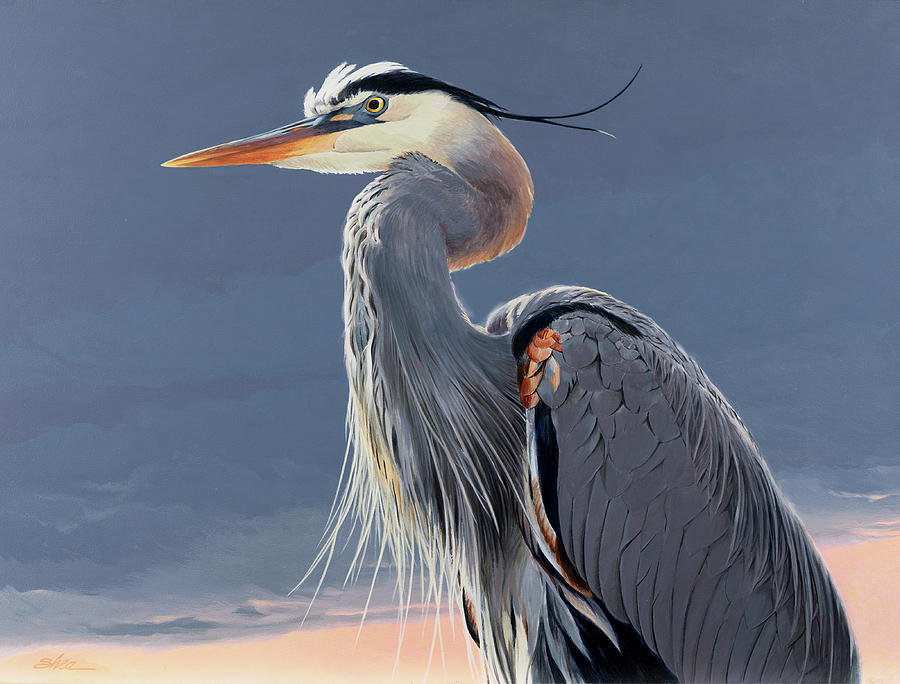 900x684 Great Blue Heron Painting By Shawn Shea - Heron Painting